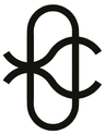 Origin Risk logo